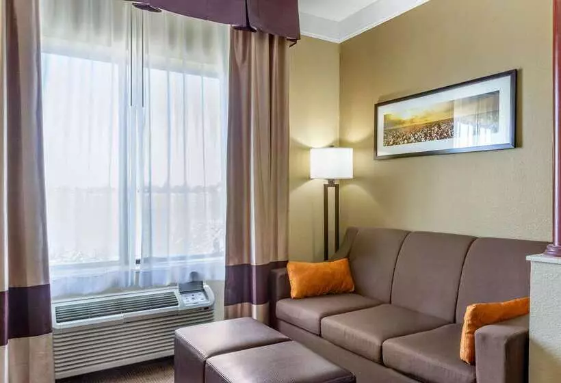 Otel Comfort Suites Plainview