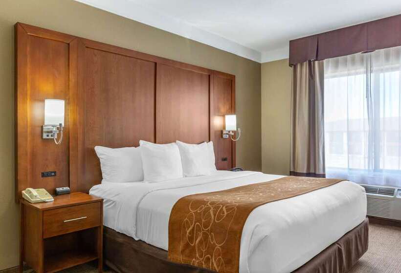 فندق Comfort Suites Plainview