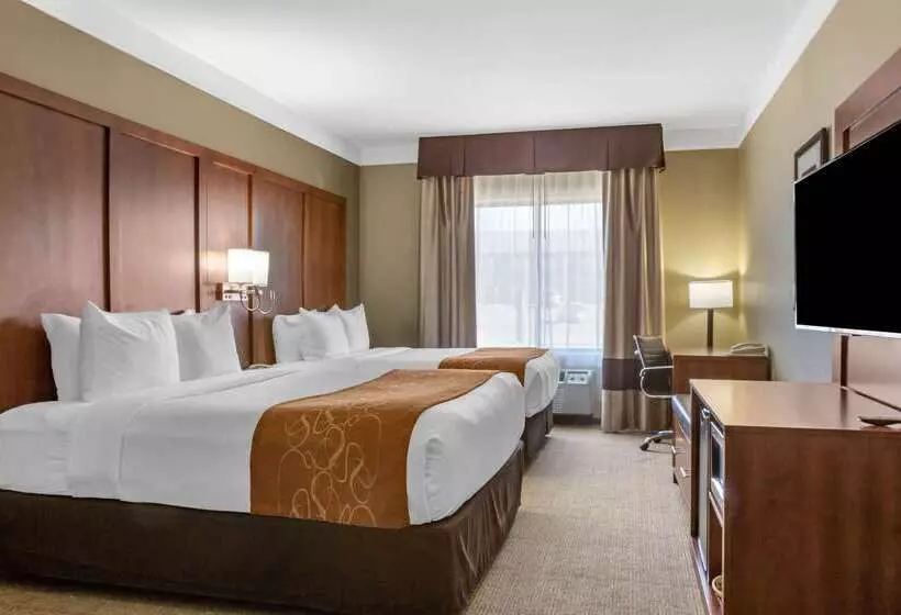 Otel Comfort Suites Plainview