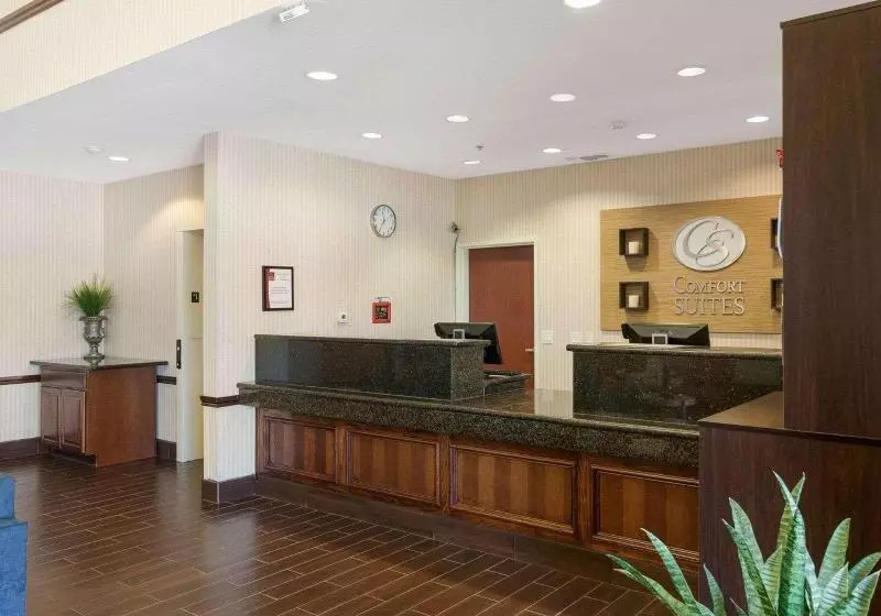 Otel Comfort Suites Plainview