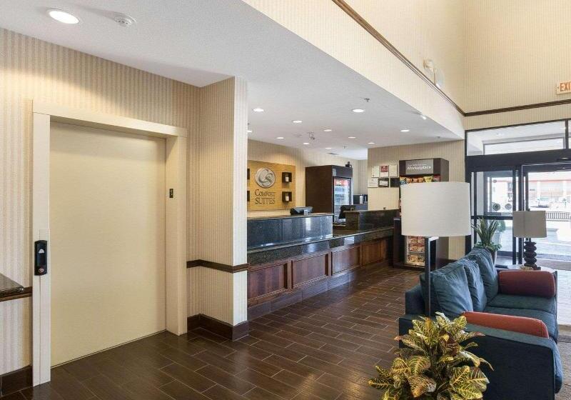 فندق Comfort Suites Plainview