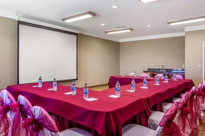 Otel Comfort Suites Plainview