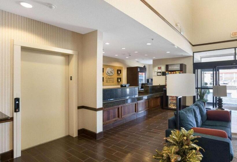 فندق Comfort Suites Plainview