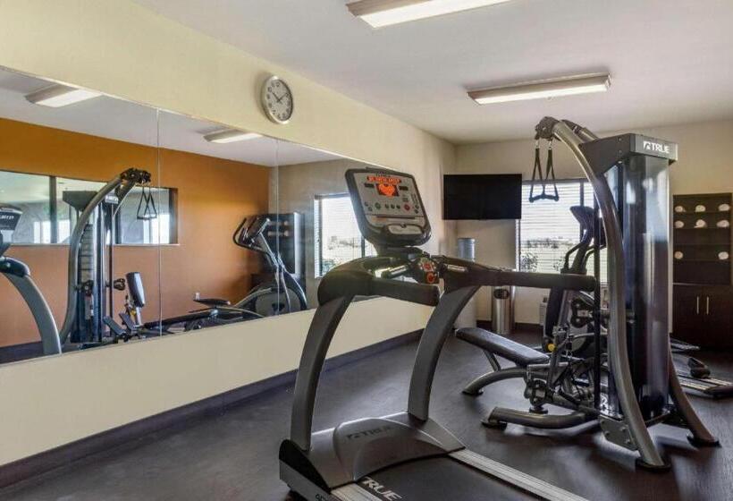 فندق Comfort Suites Plainview