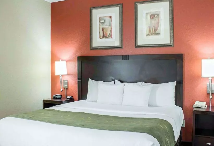 هتل Comfort Suites Regency Park