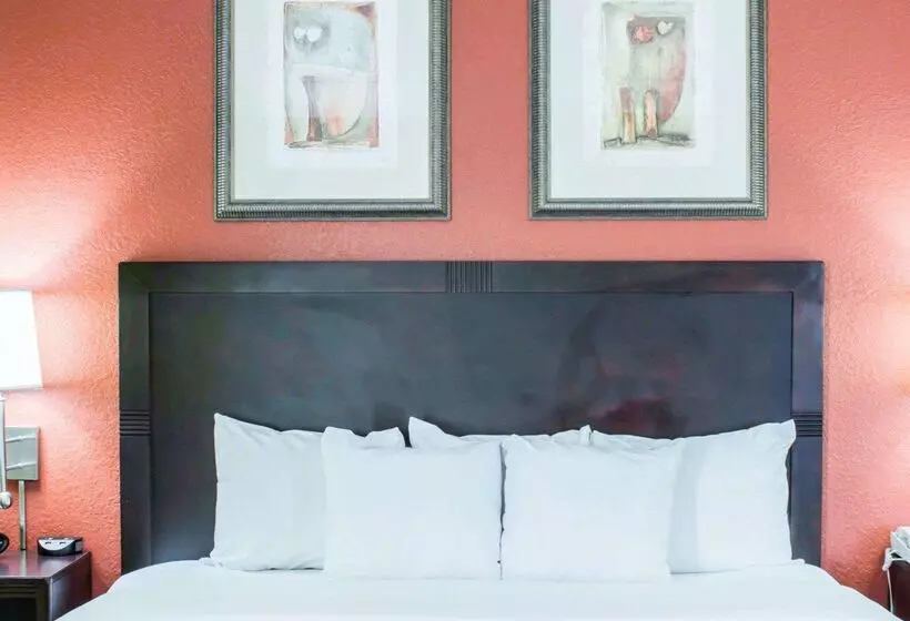 هتل Comfort Suites Regency Park