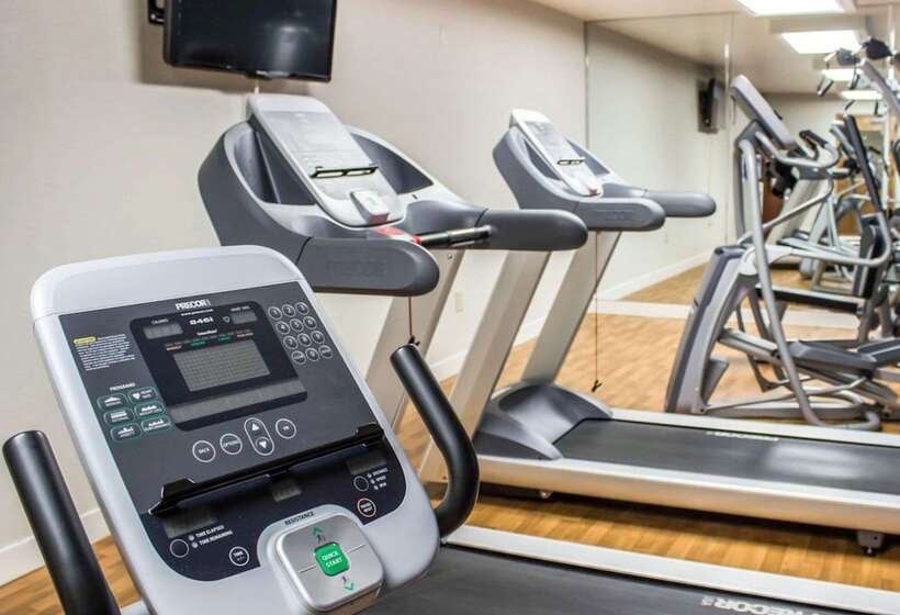 فندق Comfort Suites Regency Park