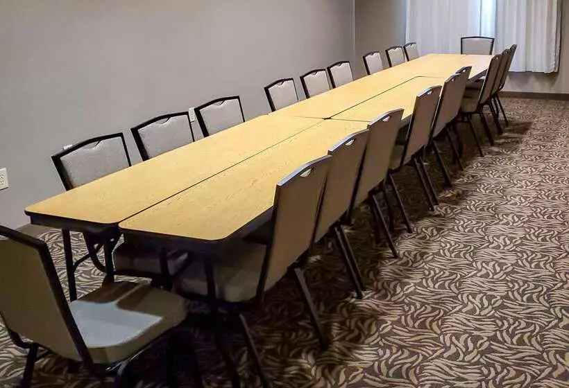 酒店 Comfort Suites Tomball Medical Center