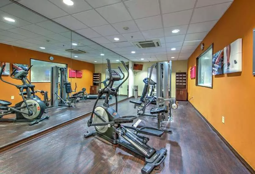 酒店 Comfort Suites Tomball Medical Center