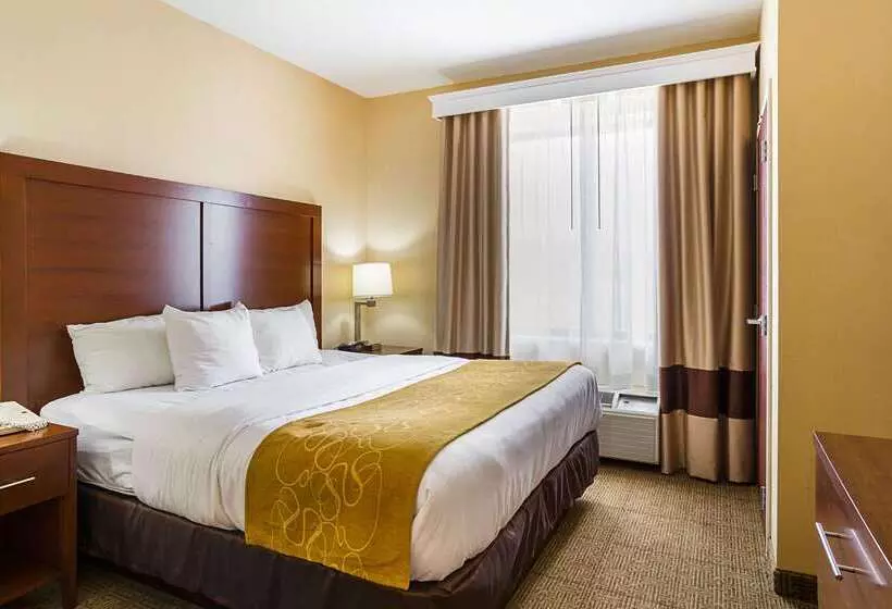 فندق Comfort Suites