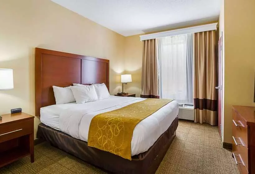 فندق Comfort Suites