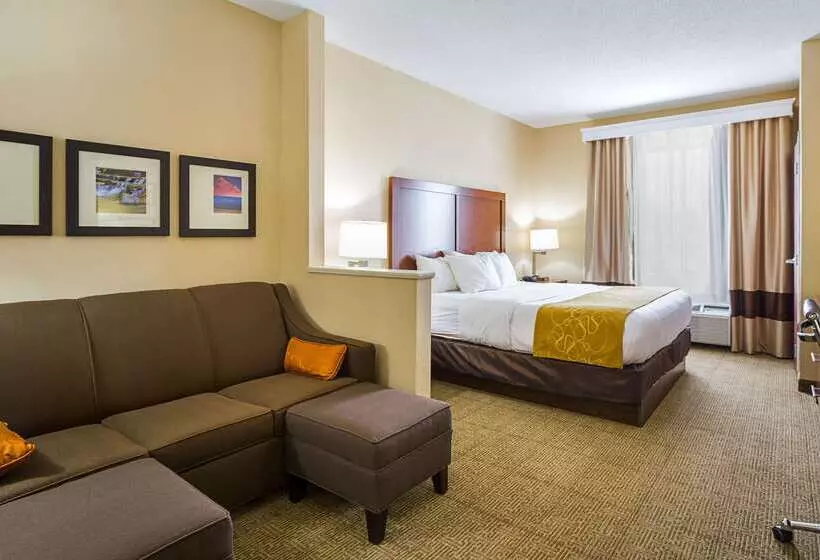 فندق Comfort Suites