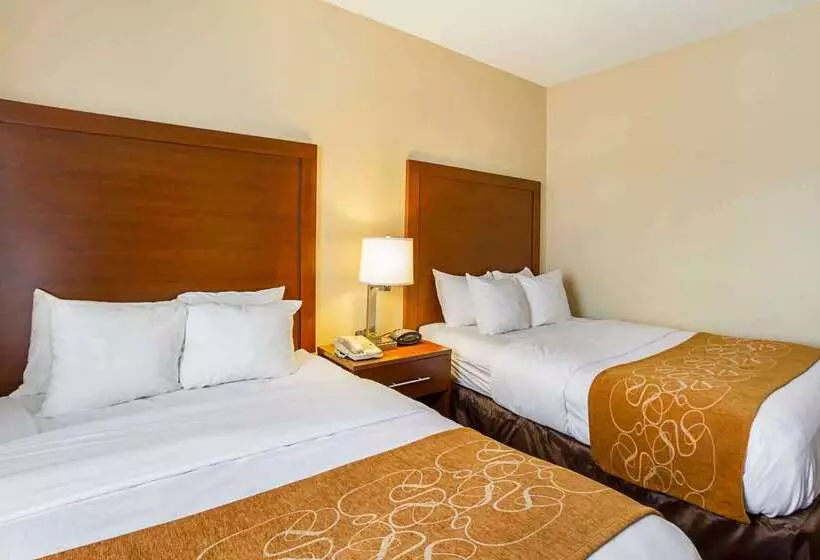 فندق Comfort Suites