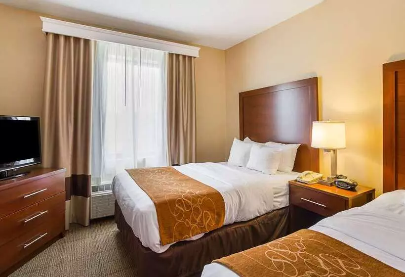 فندق Comfort Suites