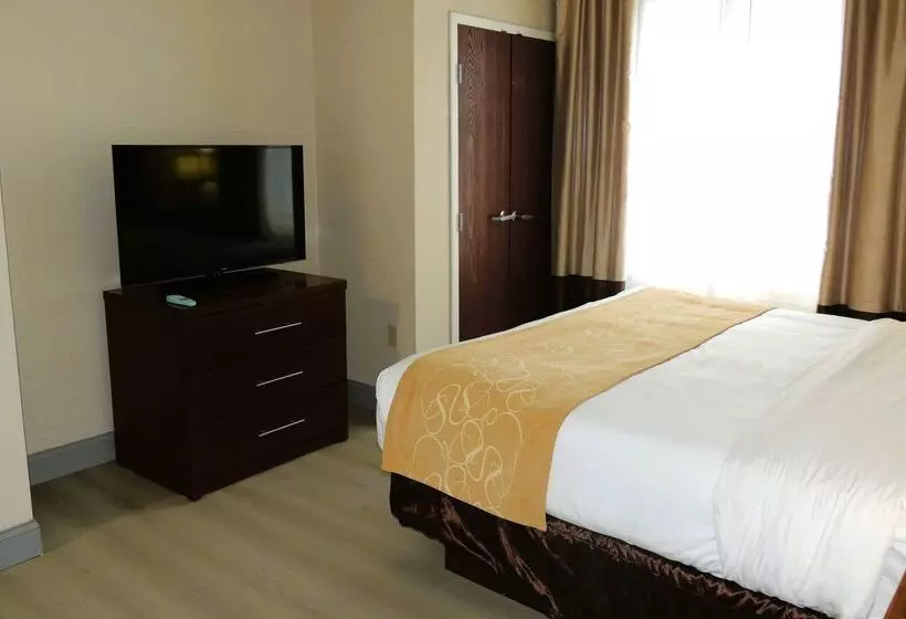 فندق Comfort Suites