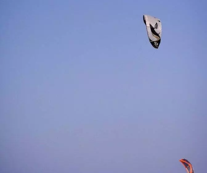 酒店 Neptuno Beach