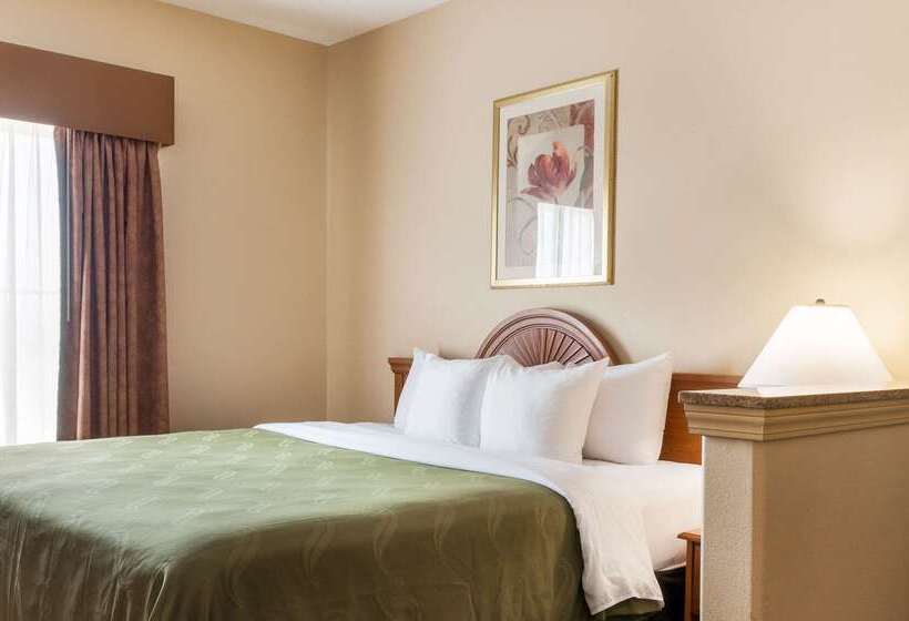 Отель Quality Inn & Suites