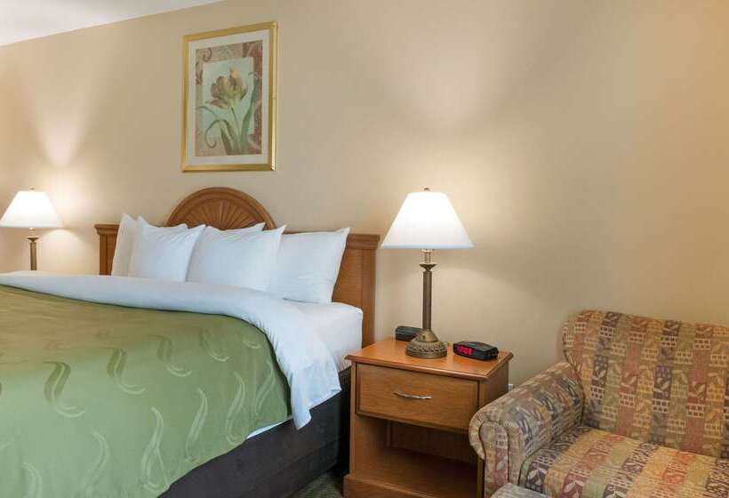 Отель Quality Inn & Suites
