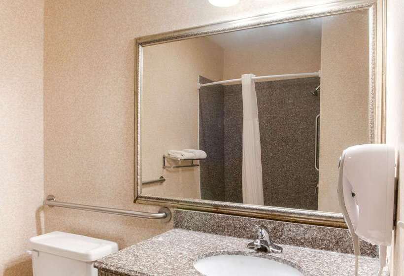 Отель Quality Inn & Suites