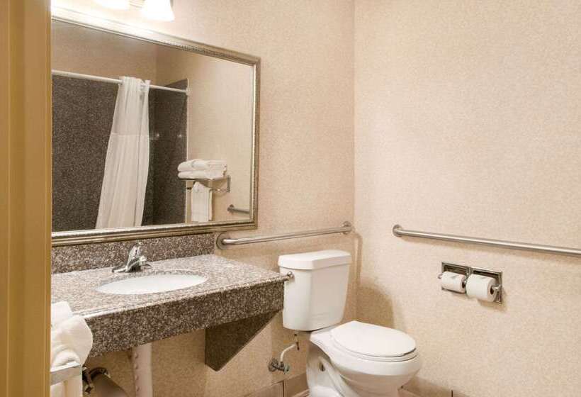 Отель Quality Inn & Suites