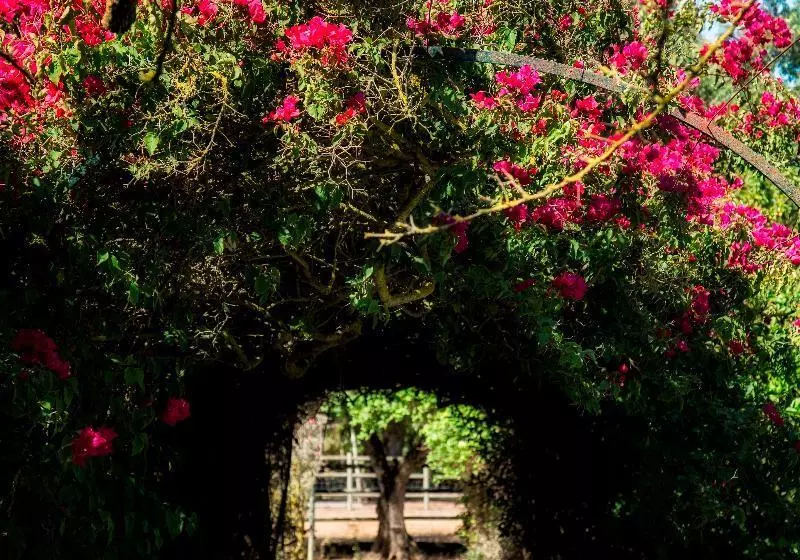 Отель Quinta Da Praia Das Fontes