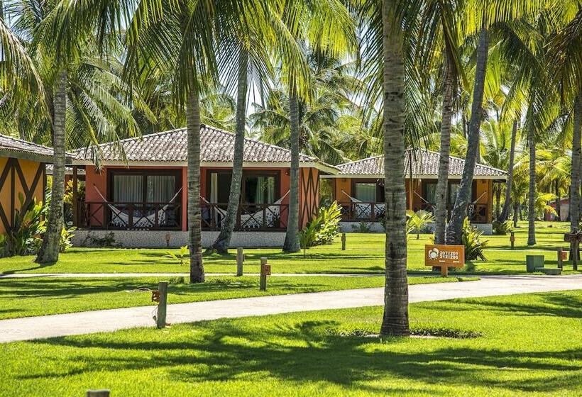 渡假胜地 Patachocas