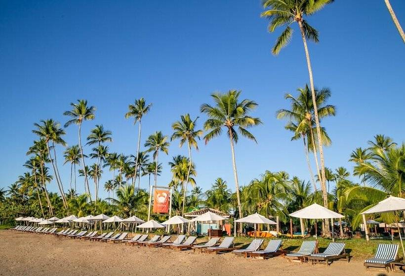 渡假胜地 Patachocas