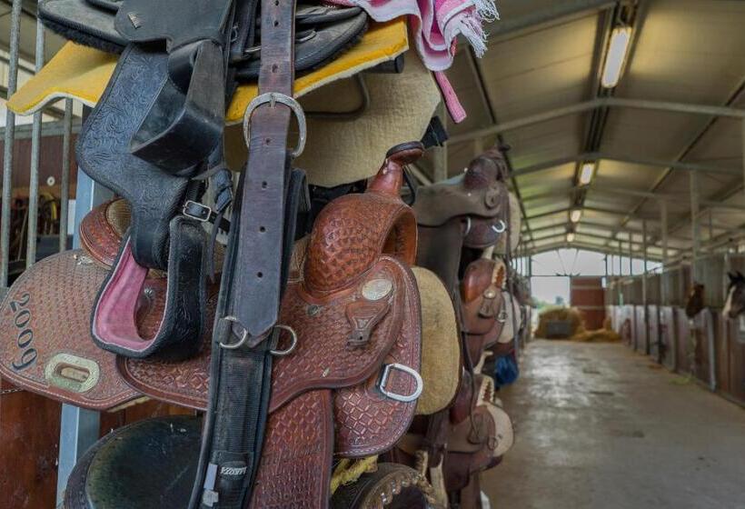 Bed and Breakfast Terra Di Vento