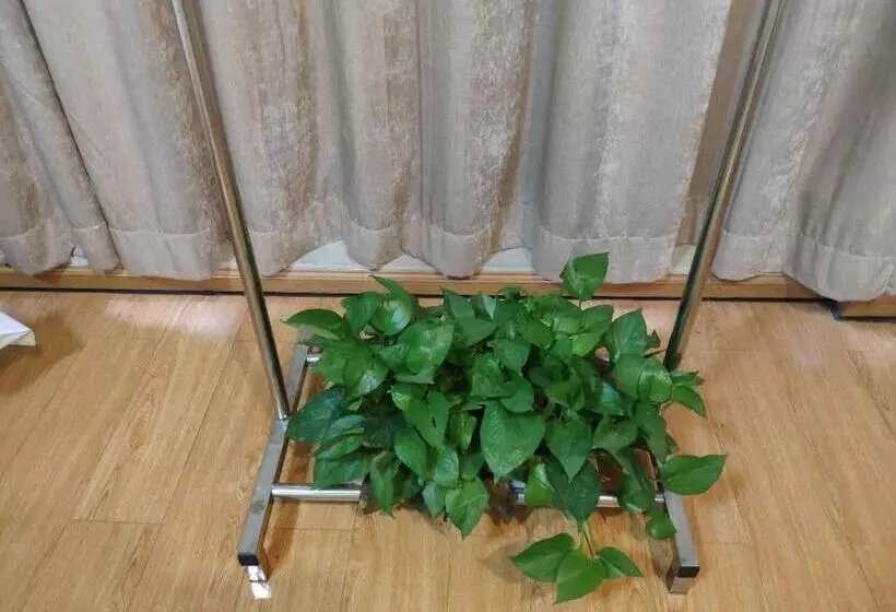 ホテル 7 Days Inn