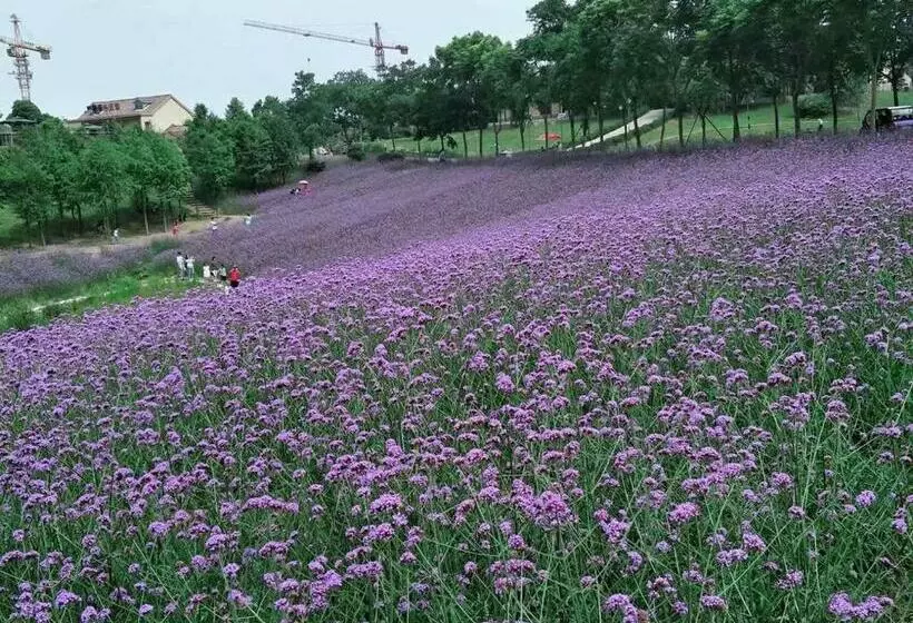 ホテル 7days Inn Nanjing South Railway Station Jiangjun Avenue