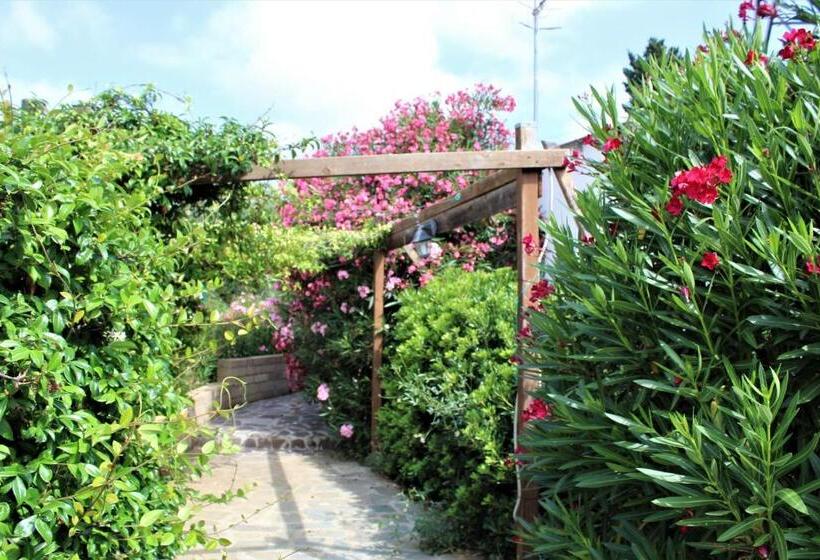 Residence Les Oliviers