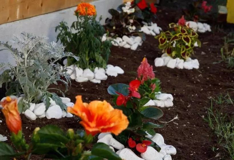 Aamiaismajoitus (B&B) Villa Santa Lucia