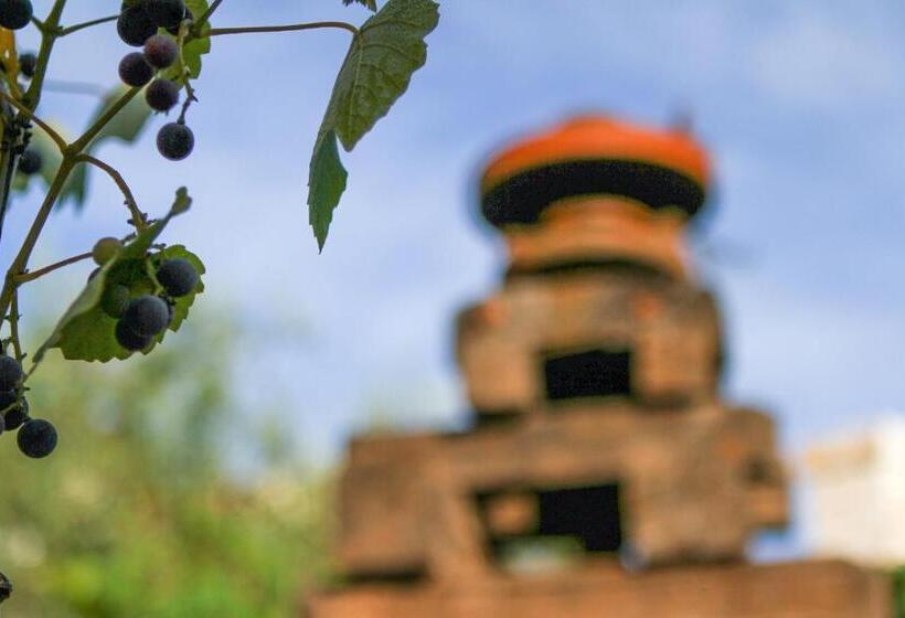 Corte Trullo Sovrano B&b