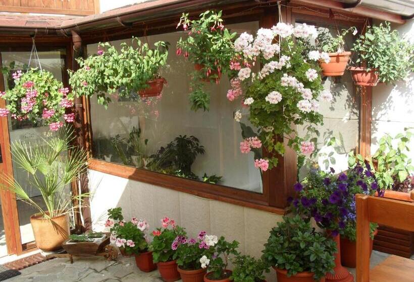 Family Hotel Nadejda