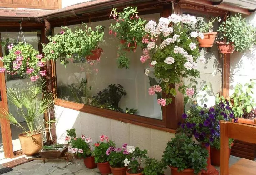 Family Hotel Nadejda