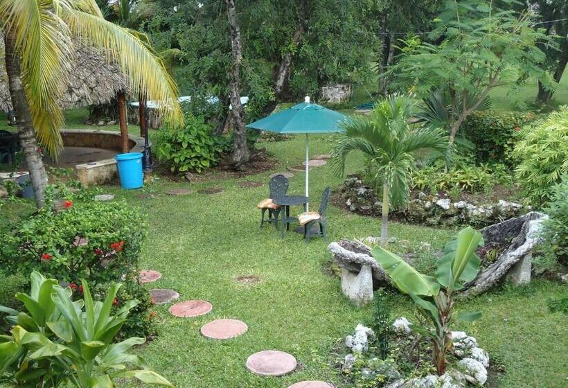 فندق Cozumel Costa Brava