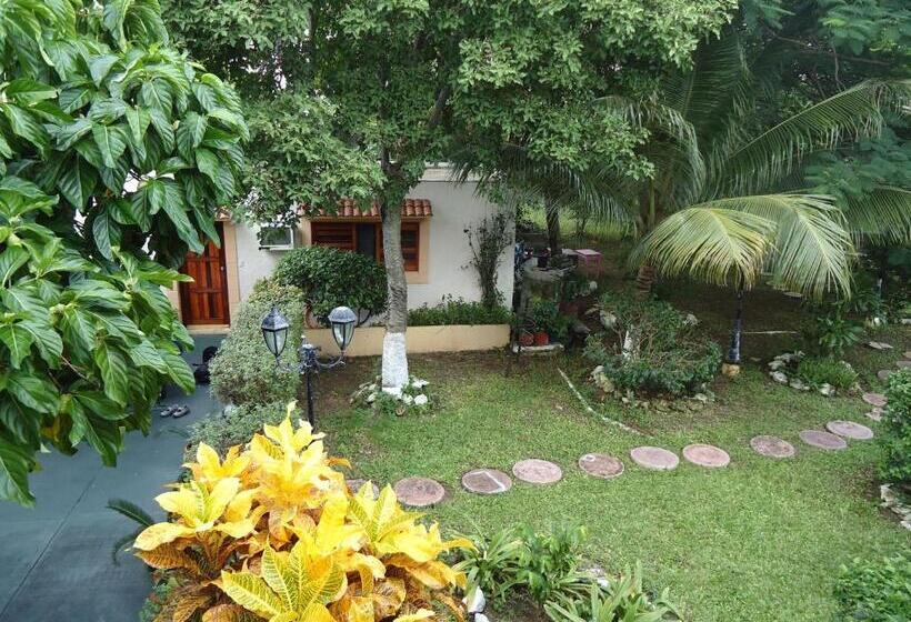 فندق Cozumel Costa Brava