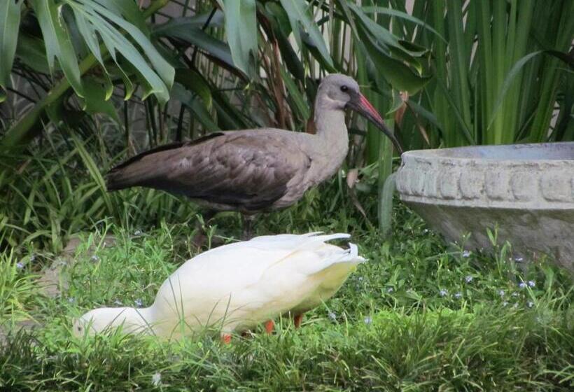 Пансион Caledon 31