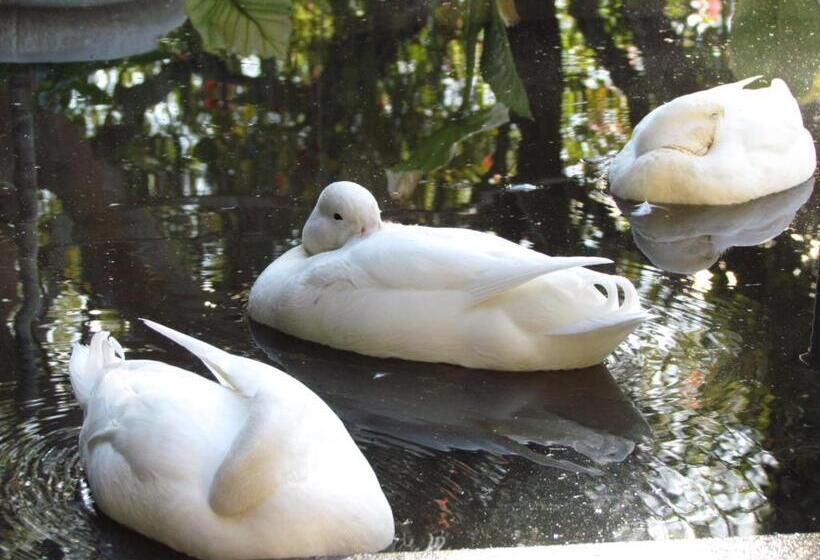 Пансион Caledon 31