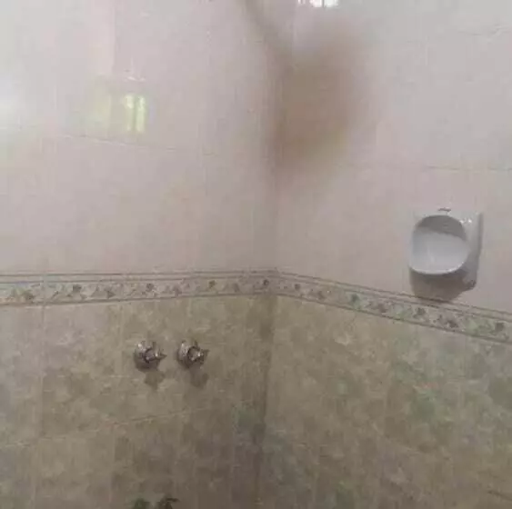 هتل Palm Airport Suites