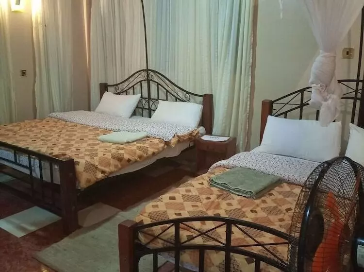 هتل Palm Airport Suites