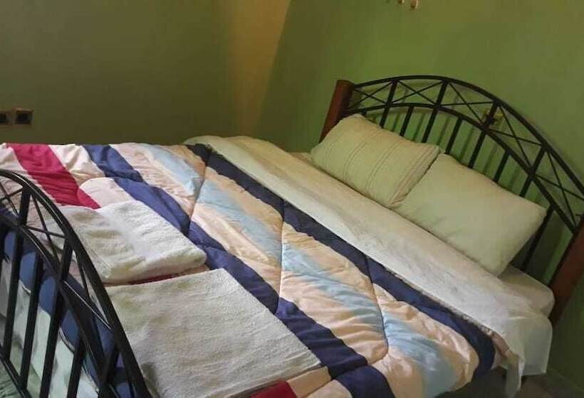 هتل Palm Airport Suites