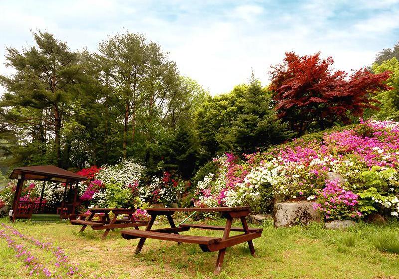 ホテル Pyeongchang Greenhill Resort