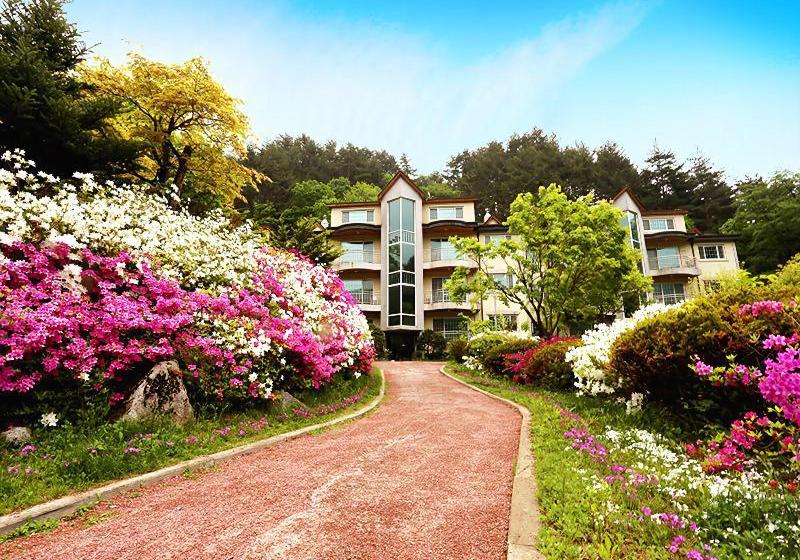 ホテル Pyeongchang Greenhill Resort