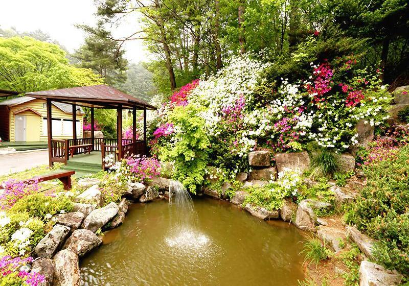 ホテル Pyeongchang Greenhill Resort