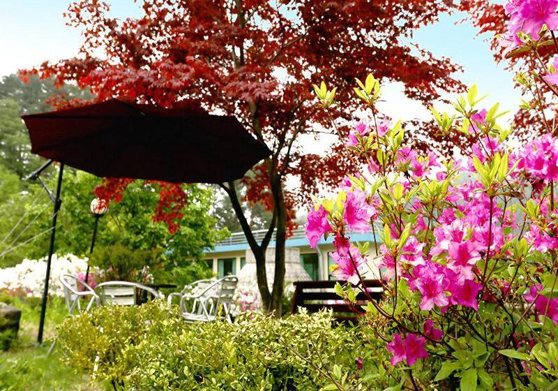 ホテル Pyeongchang Greenhill Resort