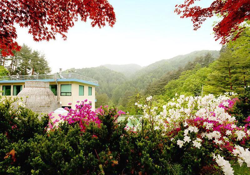 ホテル Pyeongchang Greenhill Resort