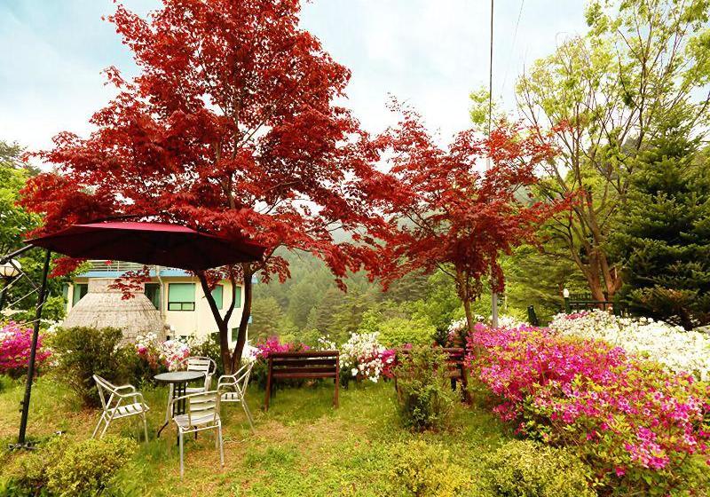 ホテル Pyeongchang Greenhill Resort