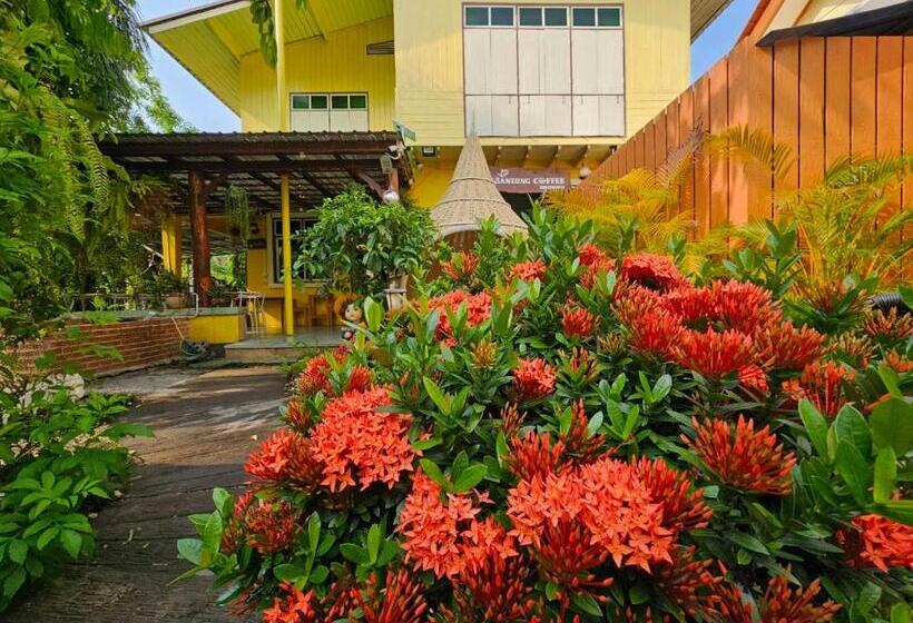 Отель Suantung Coffee & Guesthouse