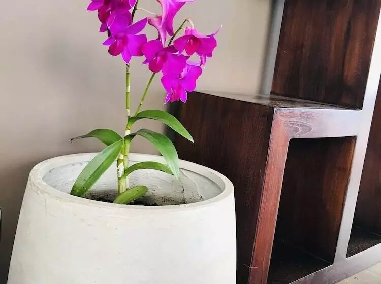 هتل Te Fiti Island Break Mahina